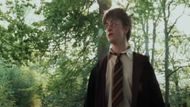Harry Potter | Image Via: Warner Bros. Pictures